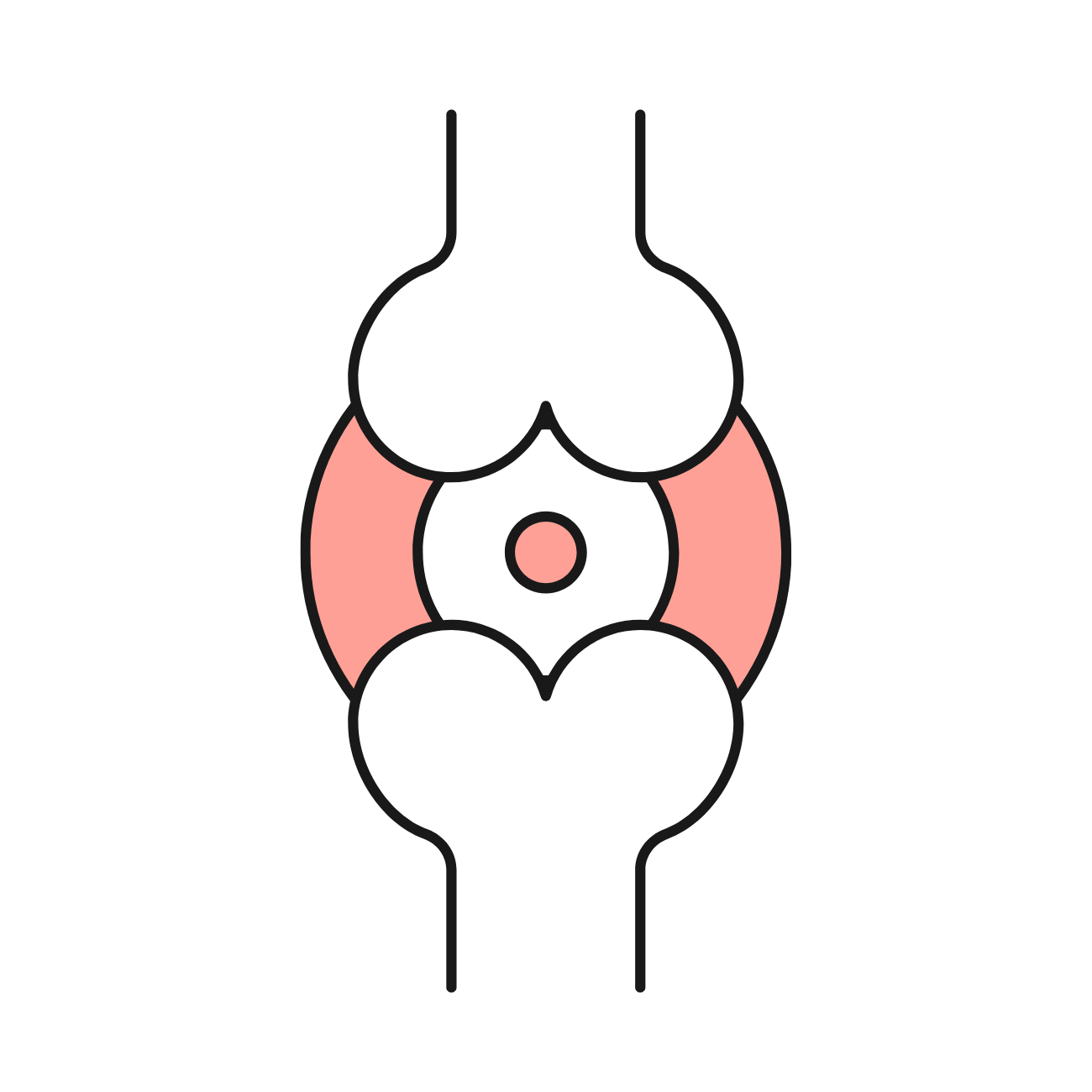  Handle your Uric Acid Plan